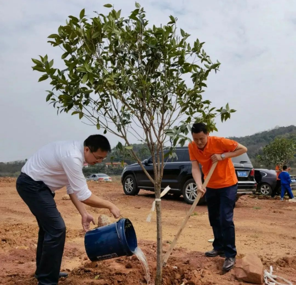 湖南草字頭生態(tài)環(huán)境建設(shè)有限公司,人造草坪假草皮,湖南雨水收集處理工藝